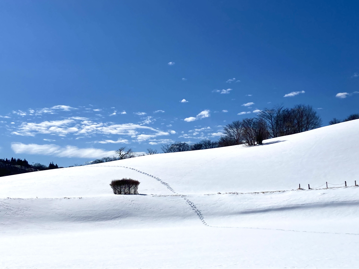 とよね村 里山体験BOOK