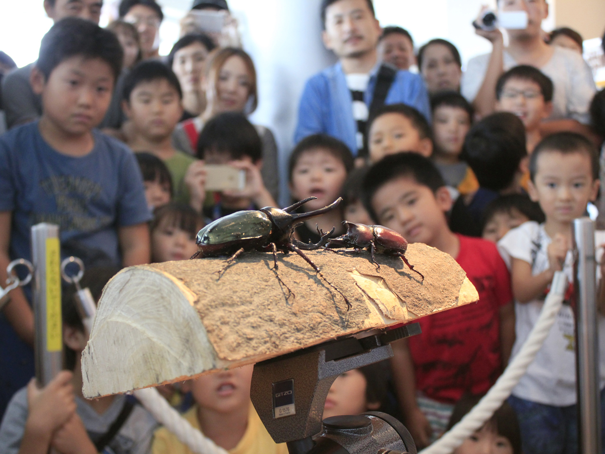 138タワーパーク「サマーフェスタ」