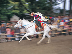 砥鹿神社例行大祭