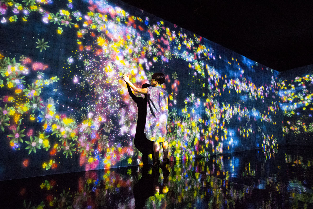 teamLab★Island Dance! Art Exhibition, Learn & Play! Future Park