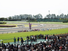 中京競馬場