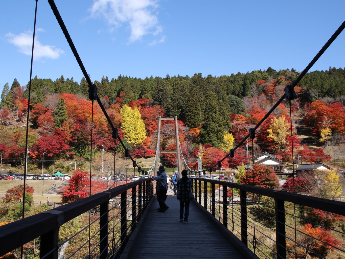 豐田市 稻武 賞紅葉