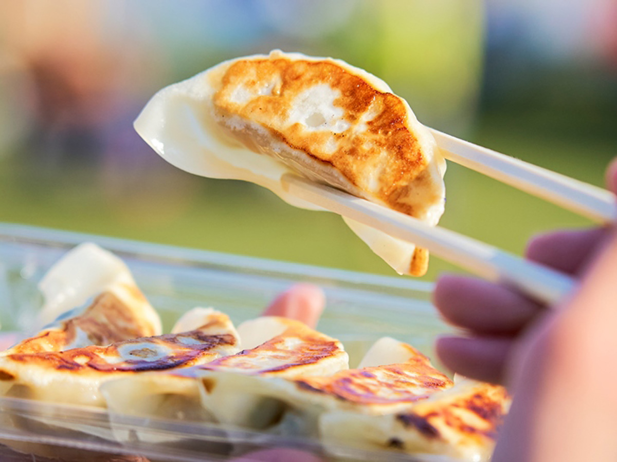 全日本ぎょうざ祭り