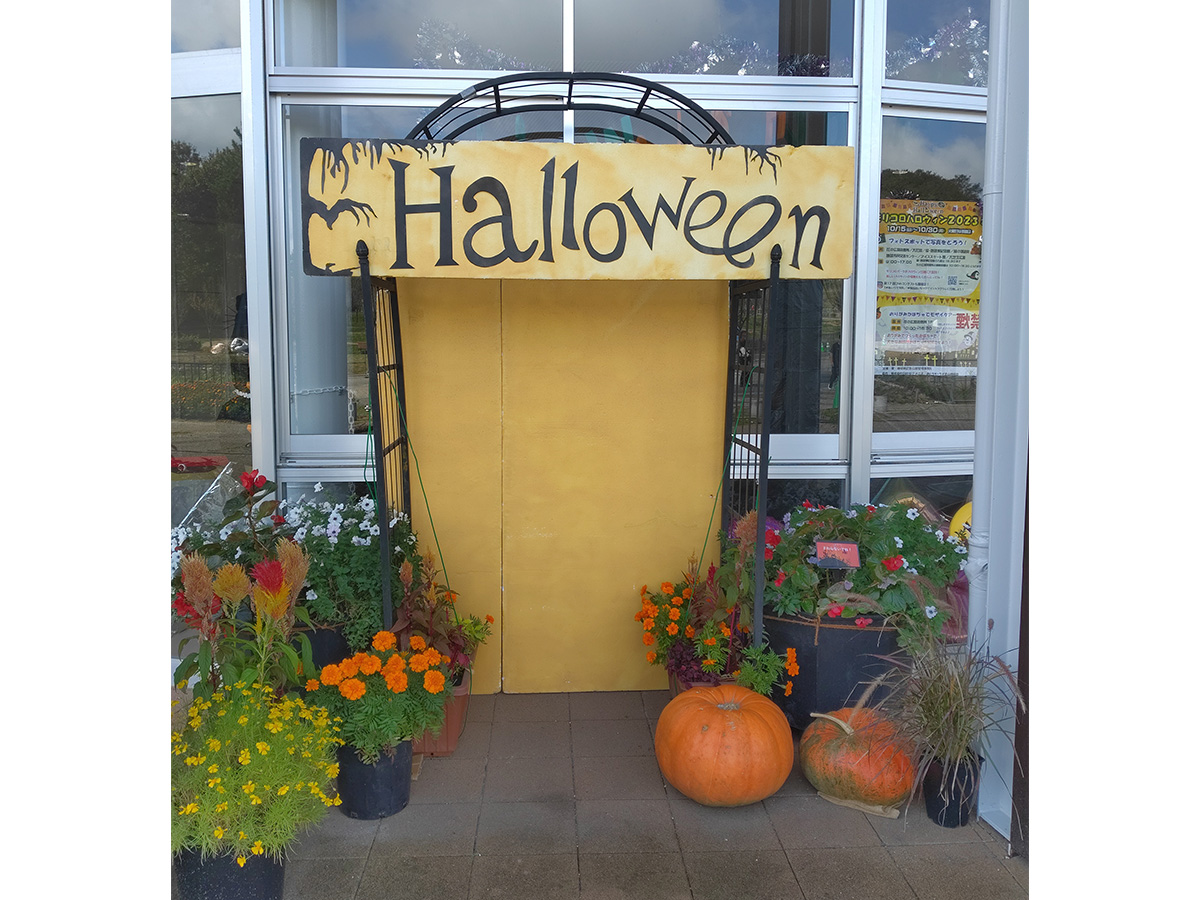 モリコロハロウィン