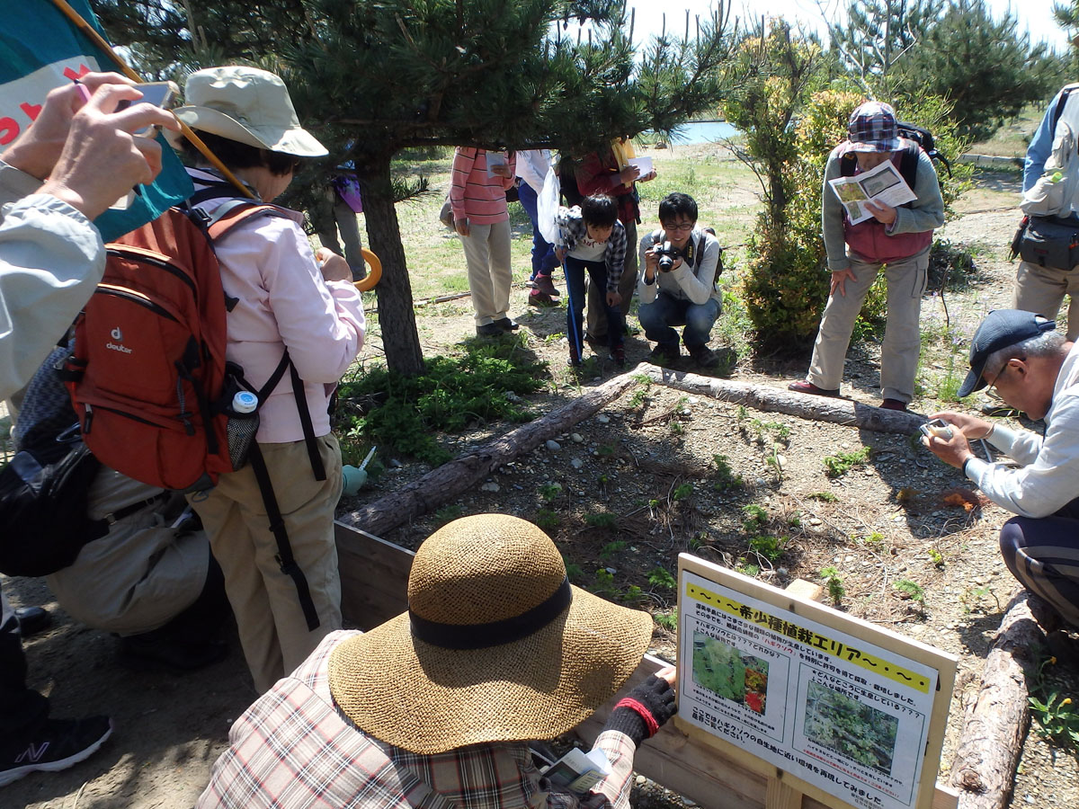 伊良湖　Salala Park