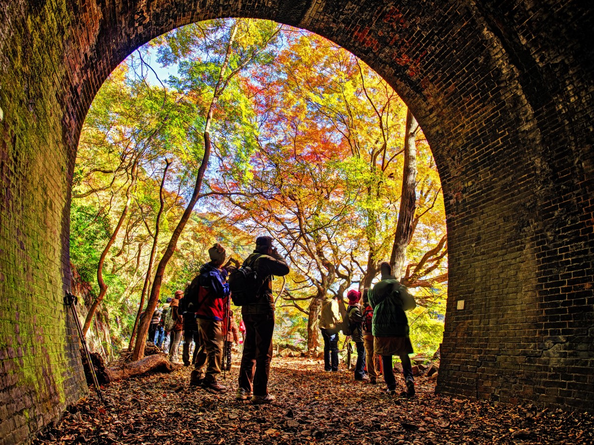 爱岐隧道群  秋季特别开放