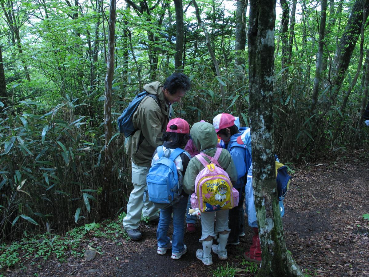 面ノ木園地(天狗棚)