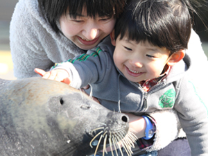 Minamichita Beach Land & Minamichita Toy Kingdom