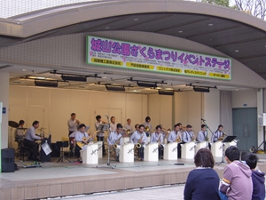 尾张旭・城山公园樱花节