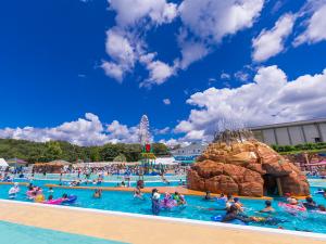 Japan Monkey Park Pool