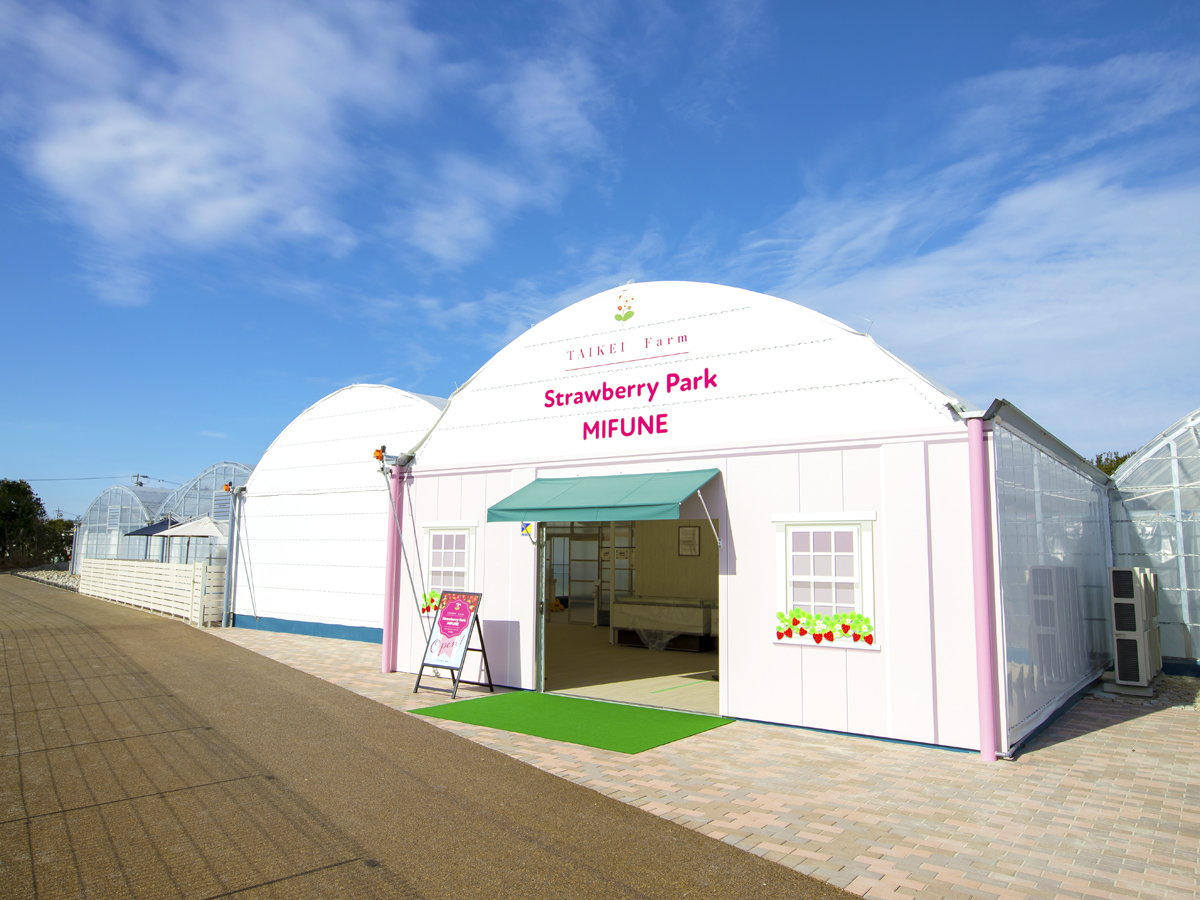 Strawberry Park MIFUNE