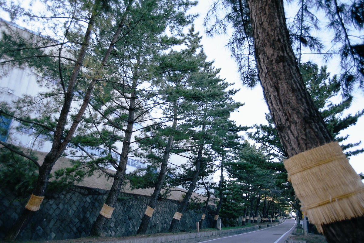 東海道藤川宿・藤川宿資料館