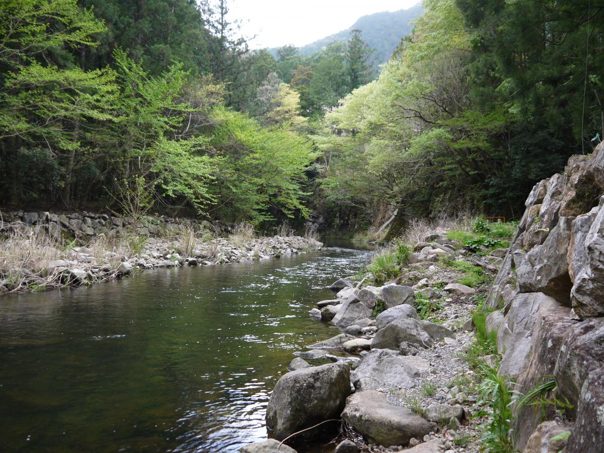 ひやひやランド