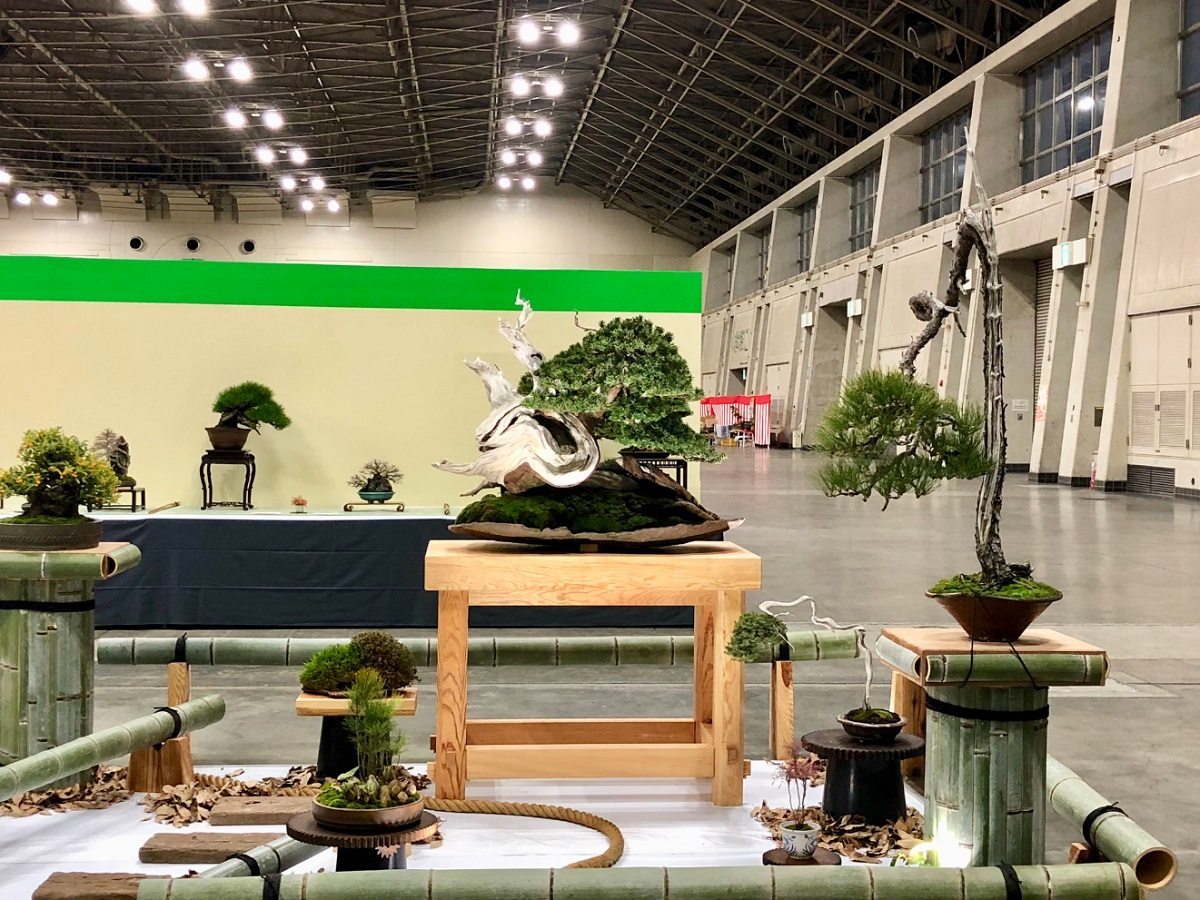 Meifu Bonsai Exhibition 