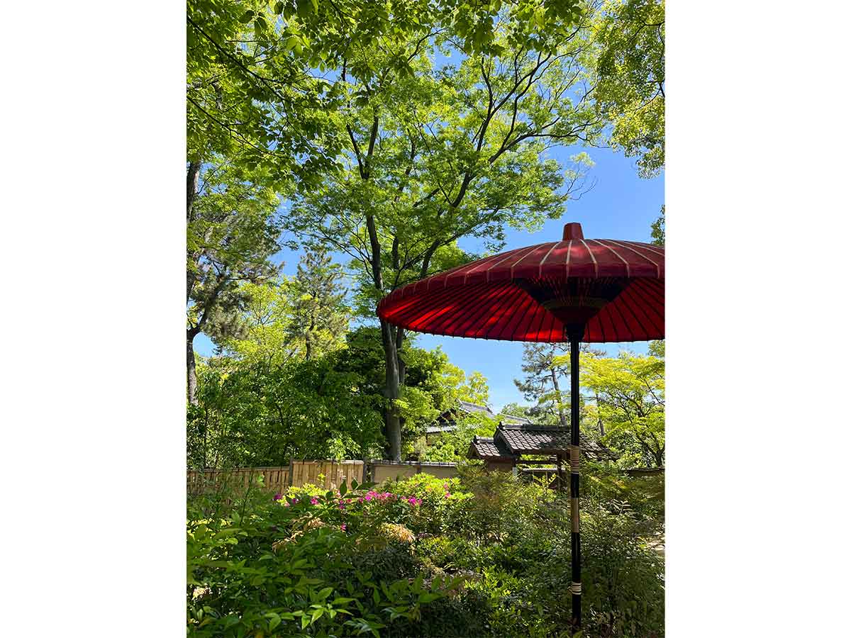 쓰루마 공원 벚꽃축제