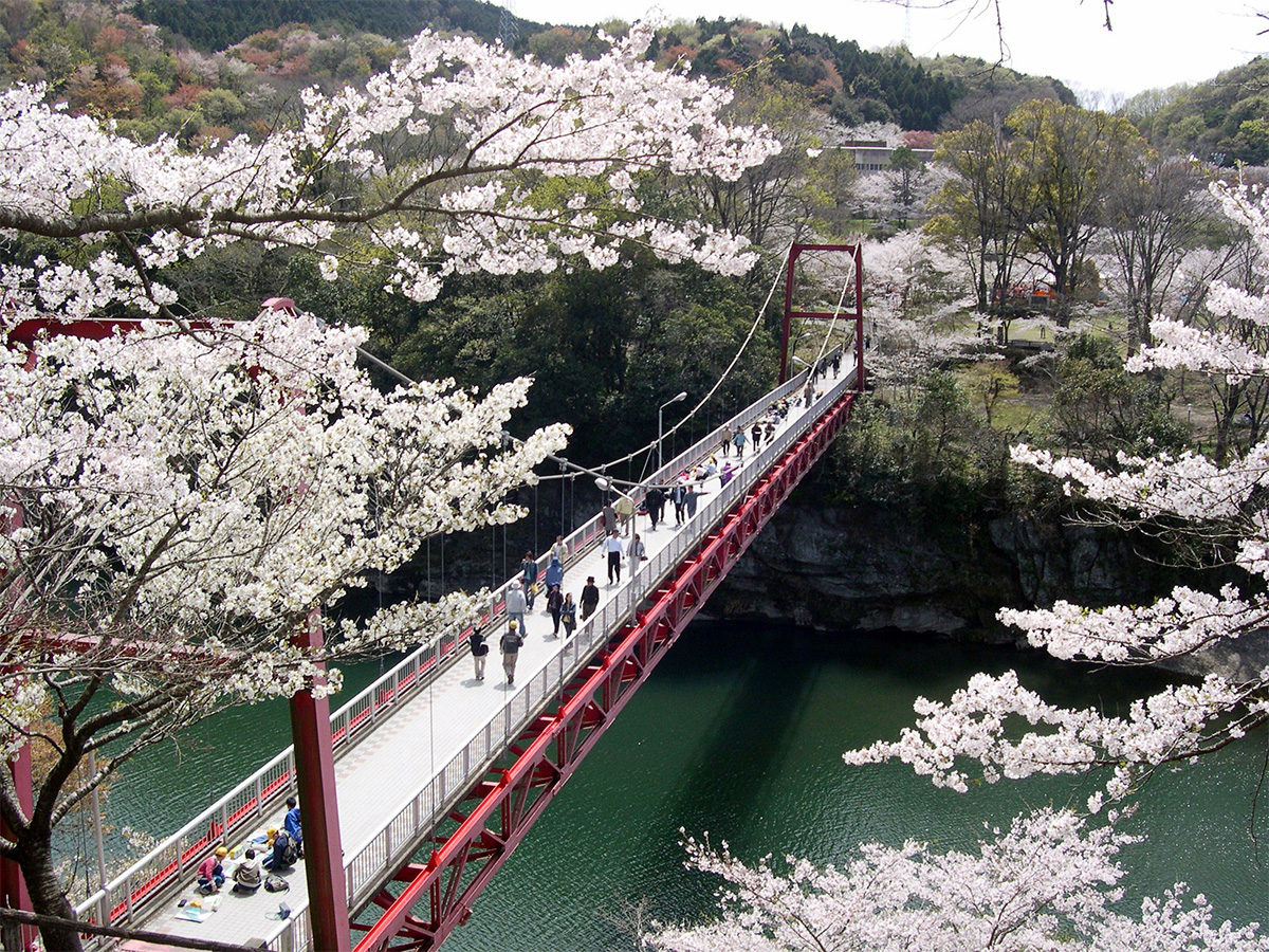 新城さくらまつり