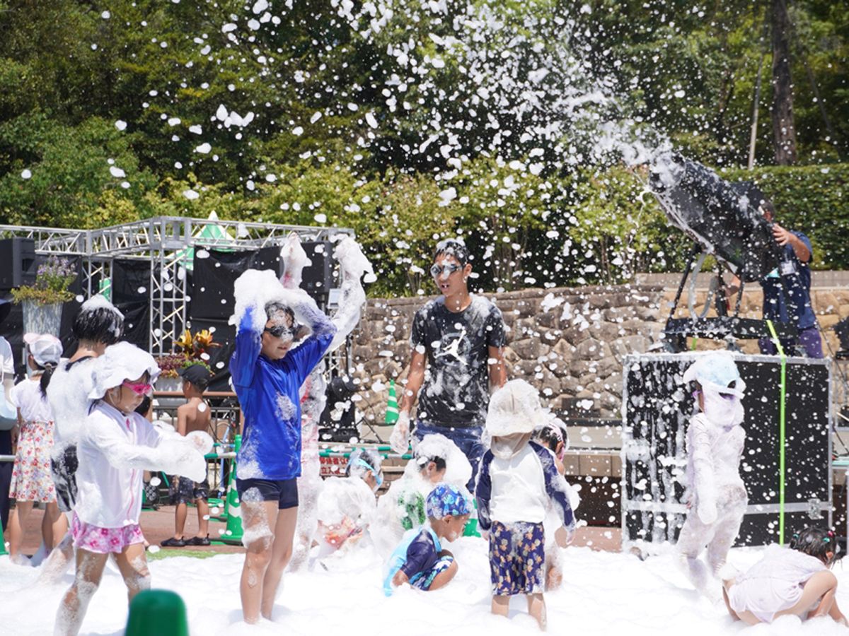 デンパーク,サマーフェスティバル