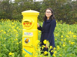 อิราโกะ นาโนะฮานะ การ์เด้น (เทศกาลทุ่งมัสตาร์ด)