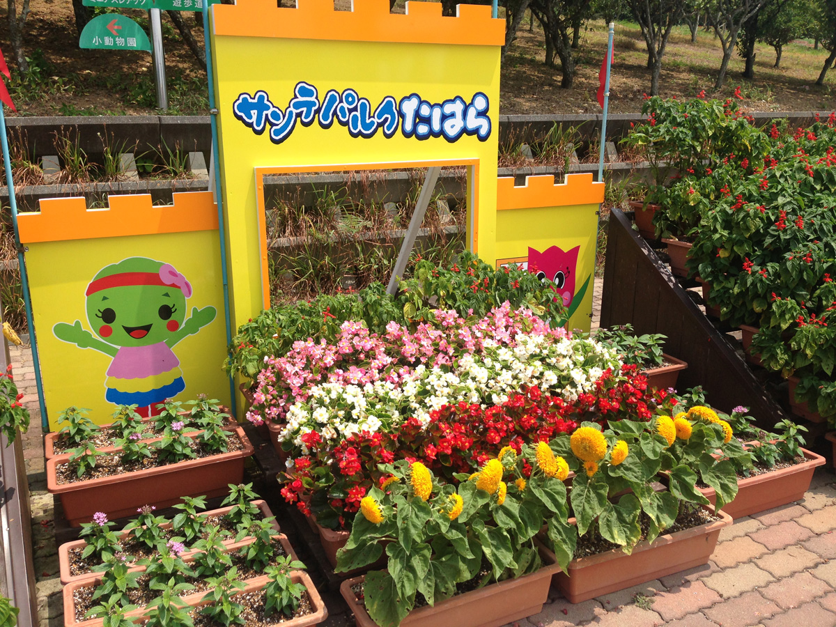 サンテパルクたはら