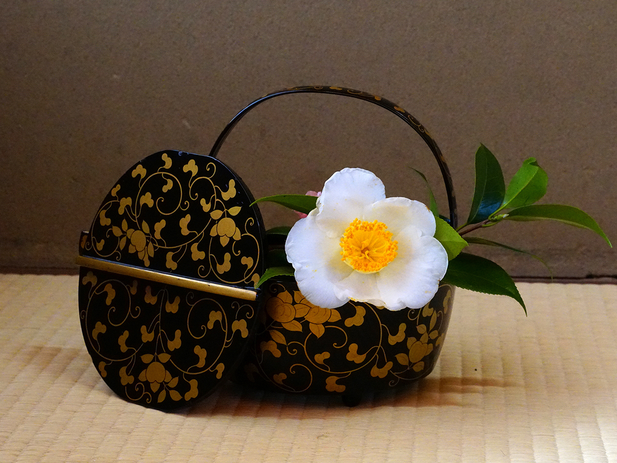 白鳥庭園　椿をあそぶ