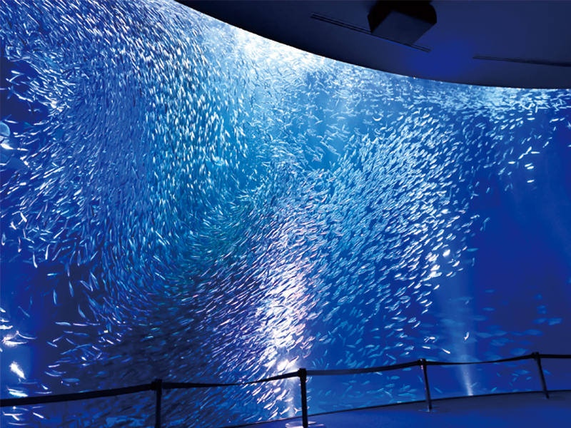 名古屋港水族館