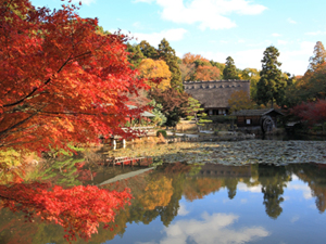 Higashiyama Zoo and Botanical Gardens, Higashiyama Sky Tower (Higashiyama Do-Shokubutsu-en, Higashiyama Sukai Tawa)