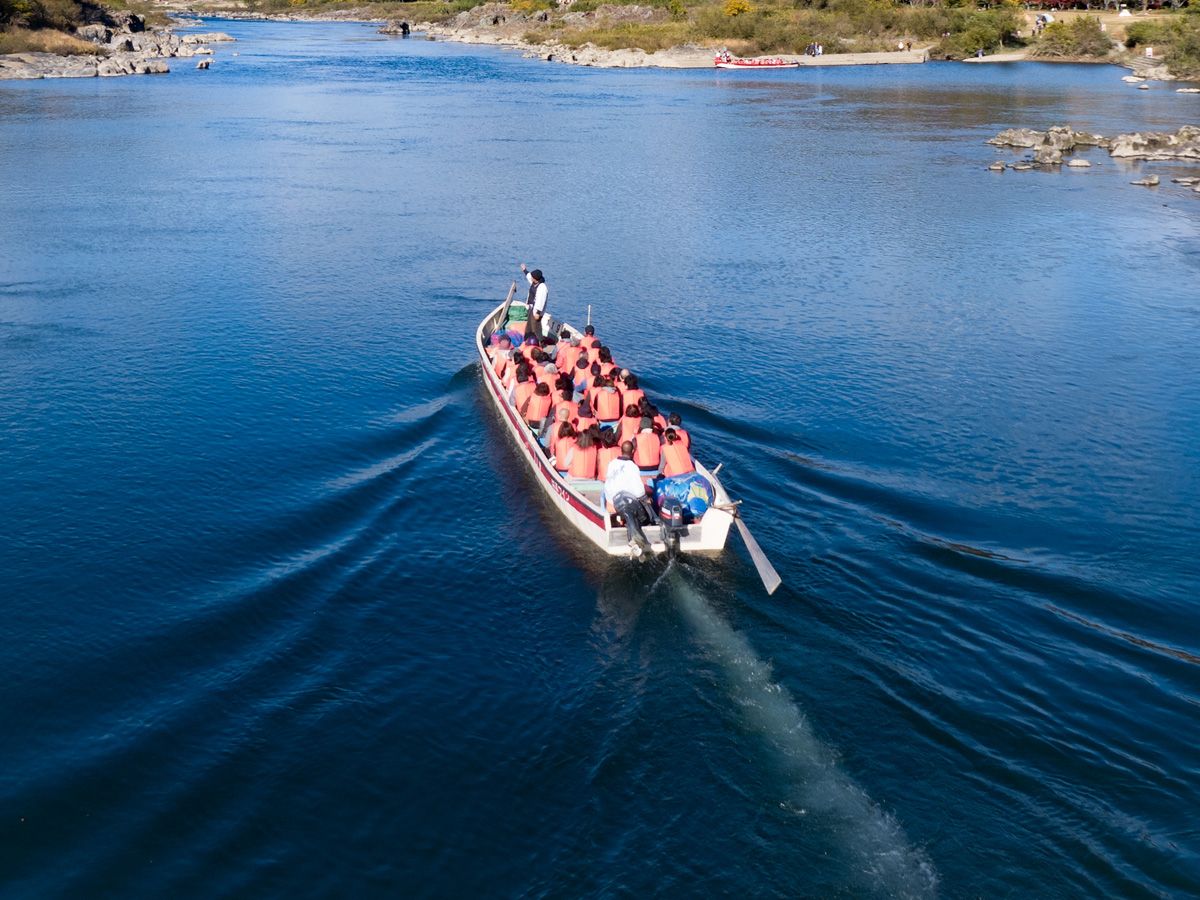 Spring Inuyama Castle Pleasure Boat