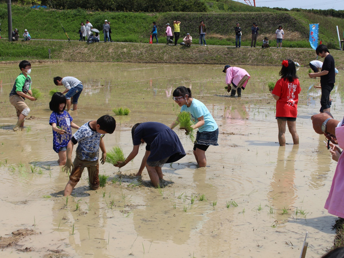 春だ！れんげだ！農業まつり