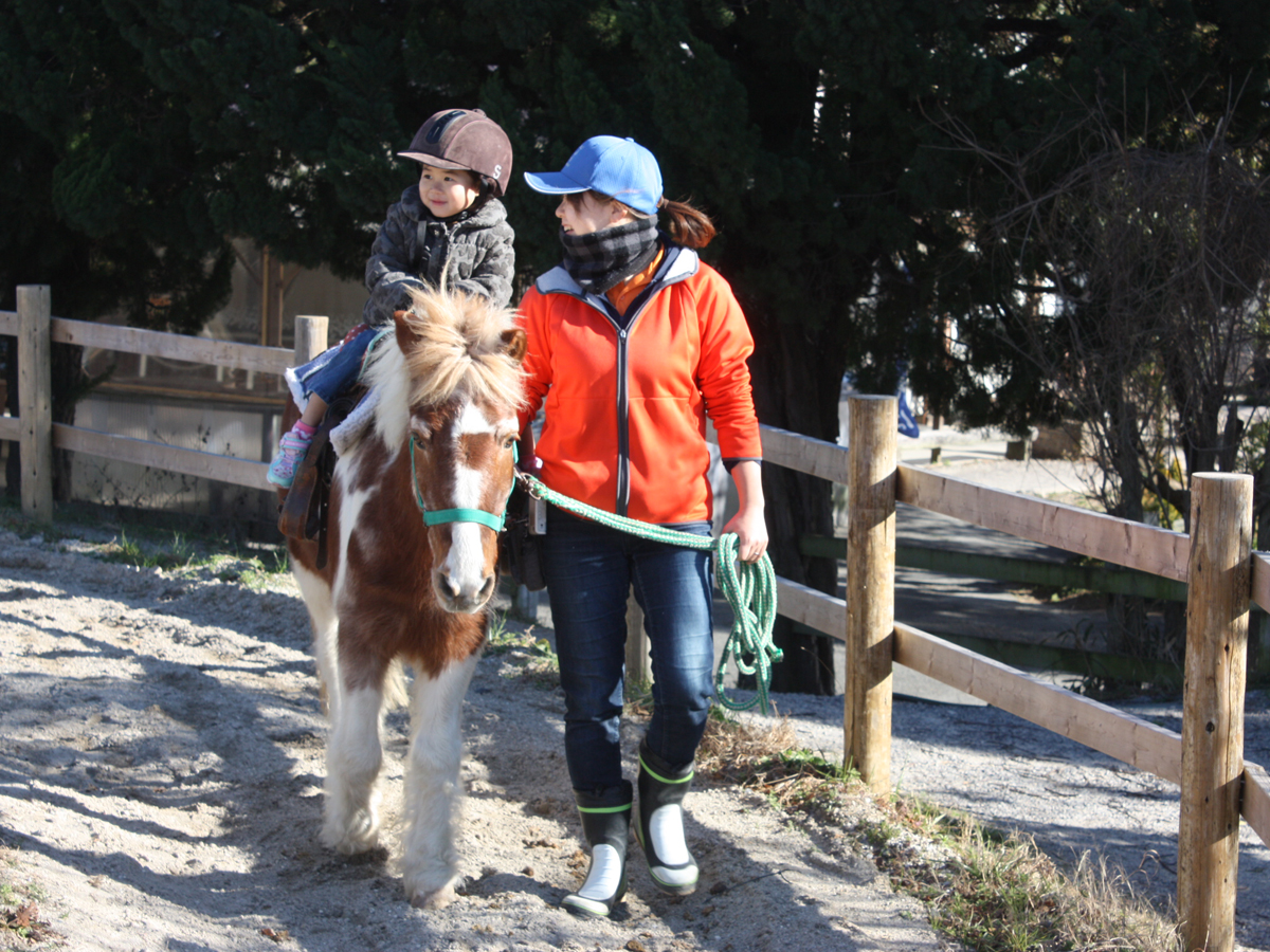 愛知牧場（あいちぼくじょう）引き馬体験