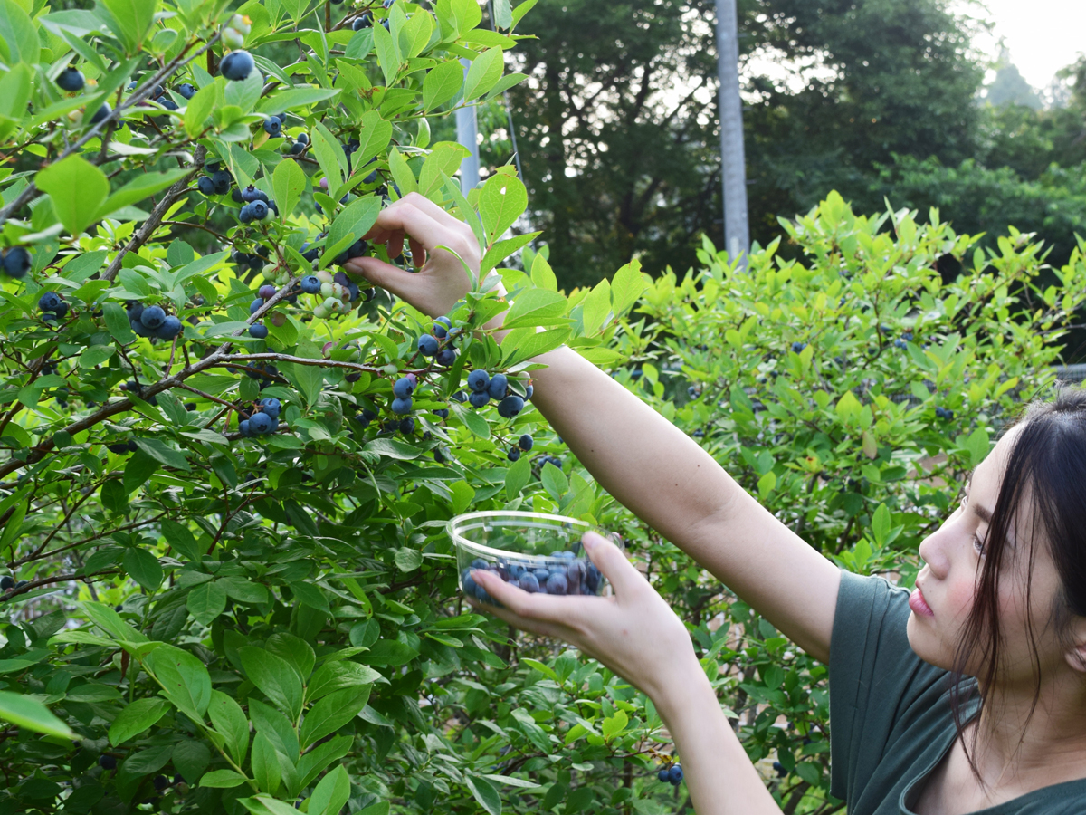 リバーサイド園 ヨリタ