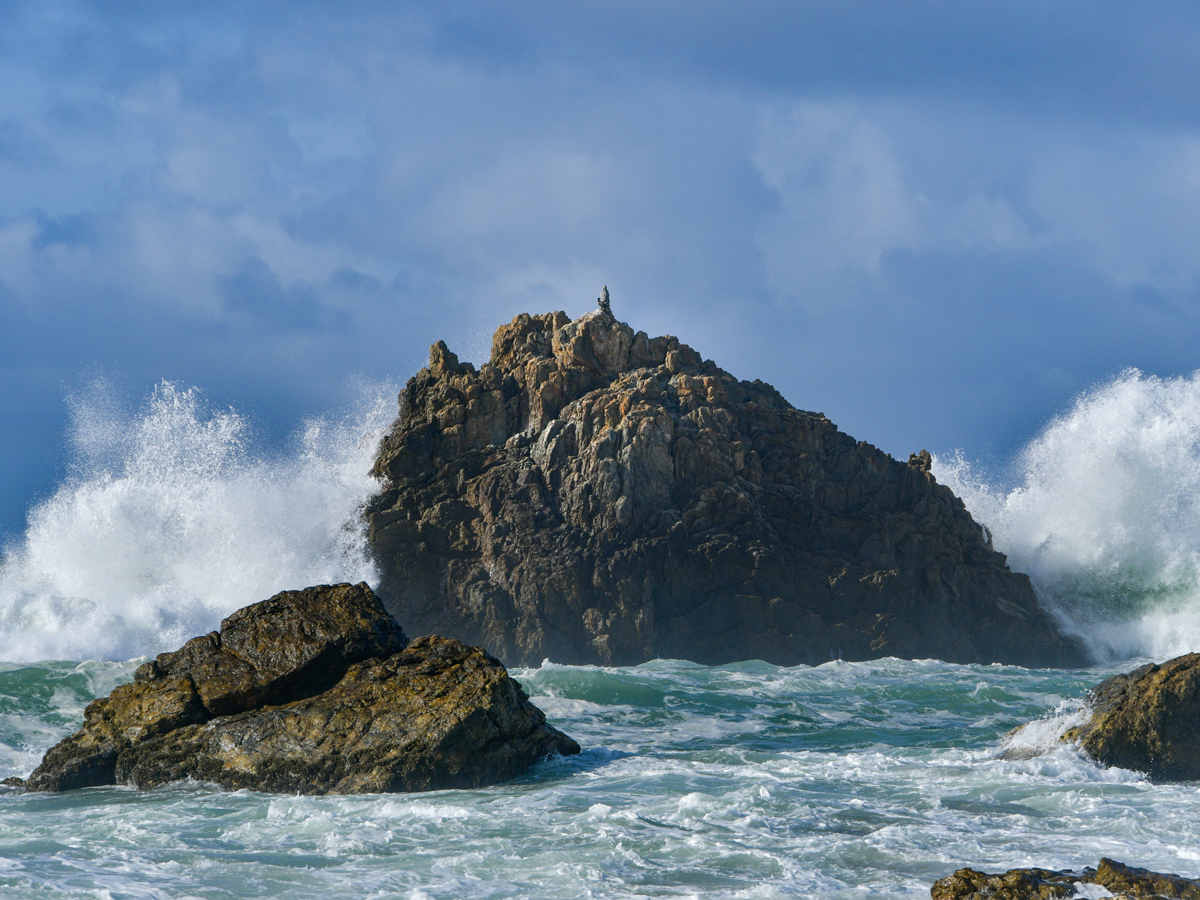 Pacific Long Beach and Oishi Shore