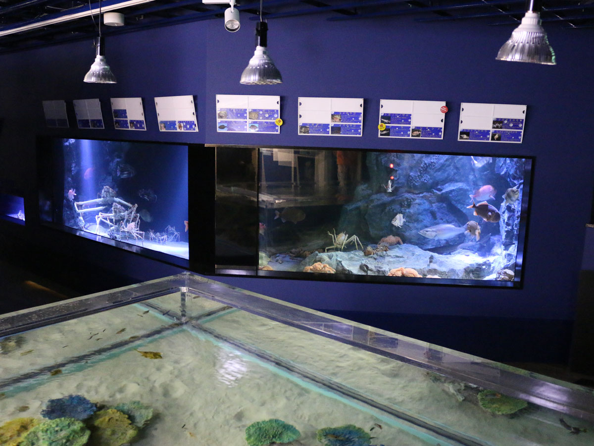 다케시마 수족관