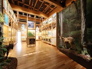 พิพิธภัณฑ์ประวัติศาสตร์ท้องถิ่นโอคุมิคาวะ 