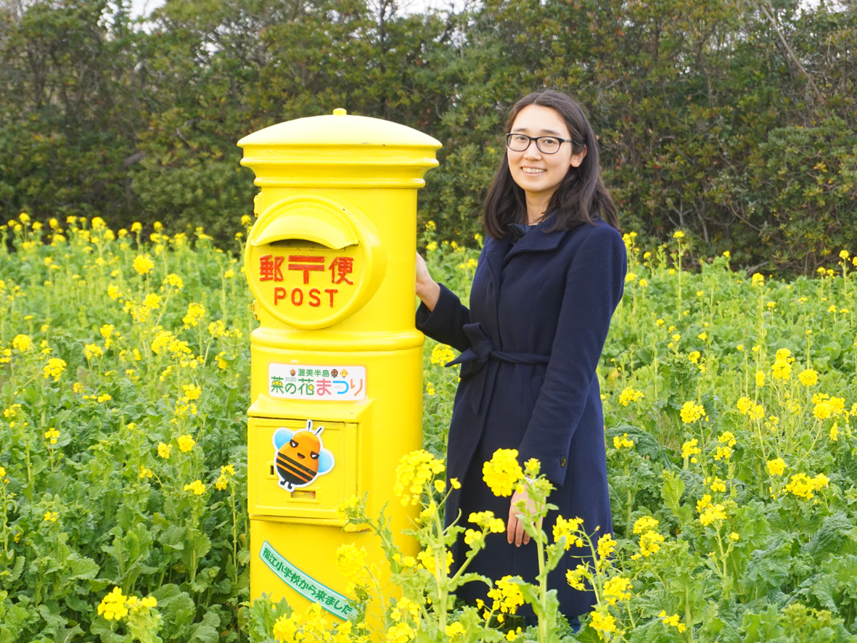 渥美半島油菜花節