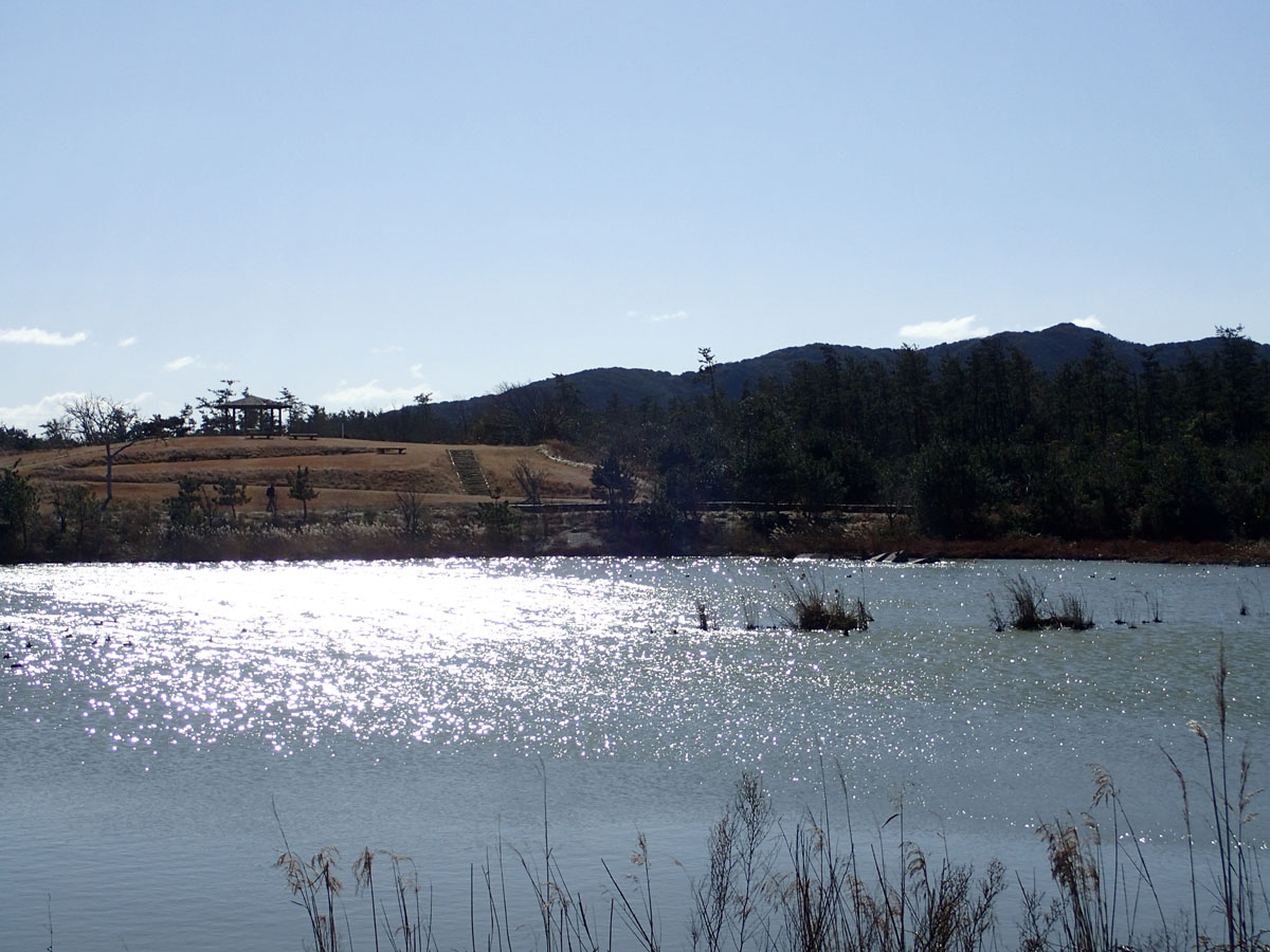 伊良湖　Salala Park