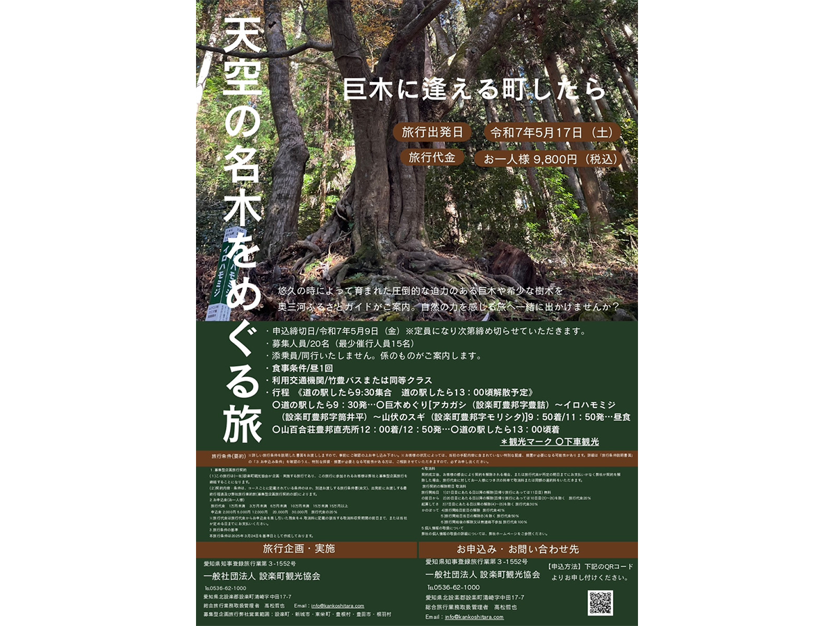巨木に逢える町したら 天空の名木をめぐる旅