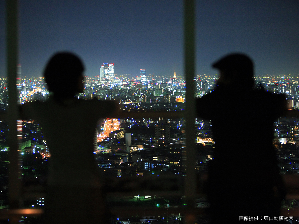 東山スカイタワー