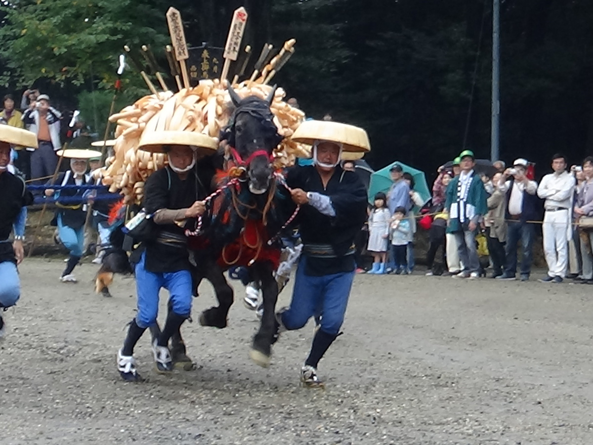 Yazako Omanto Festival