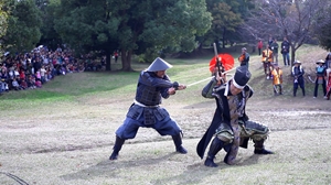 世界武士峰会