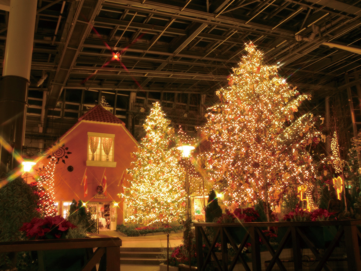 安城産業文化公園 デンパーク