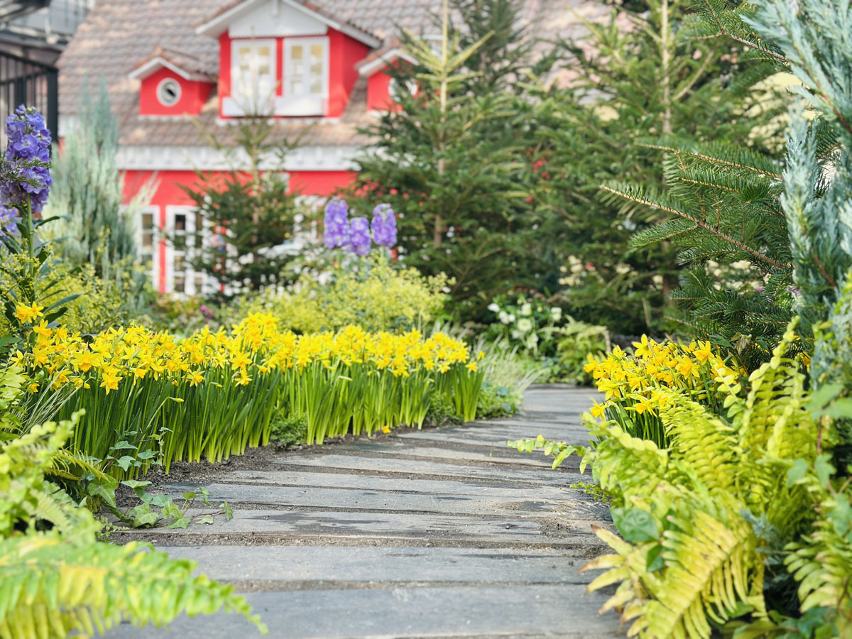 デンパーク　スイートフェスティバル