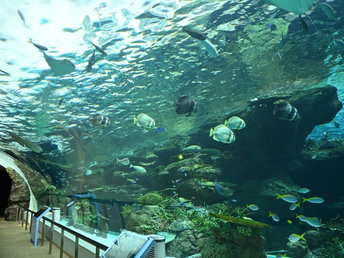 名古屋港水族館