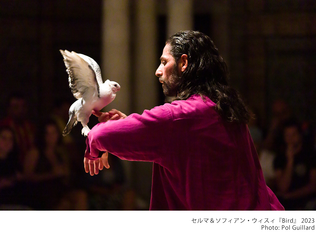 Selma Sofiane Ouissi