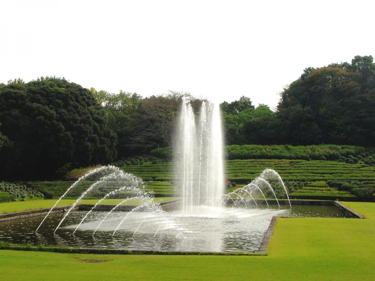 愛知県森林公園