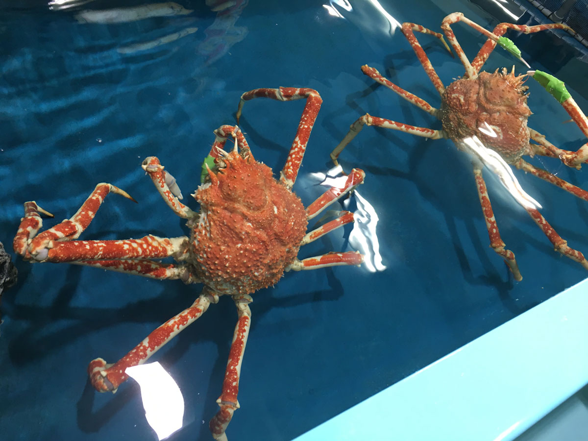 다케시마 수족관