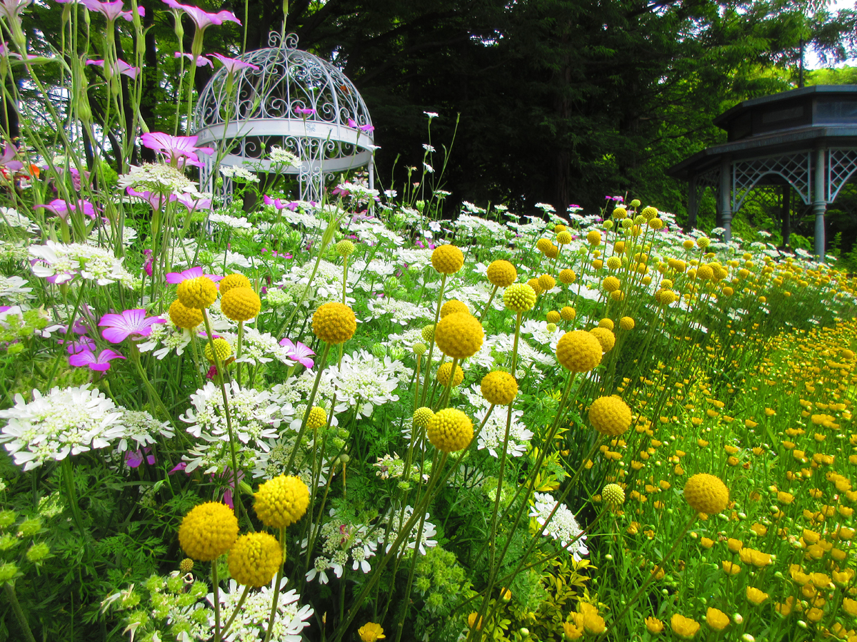久屋大通庭園フラリエ