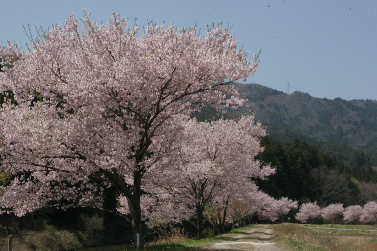Aguri Station Nagura Rest Stop