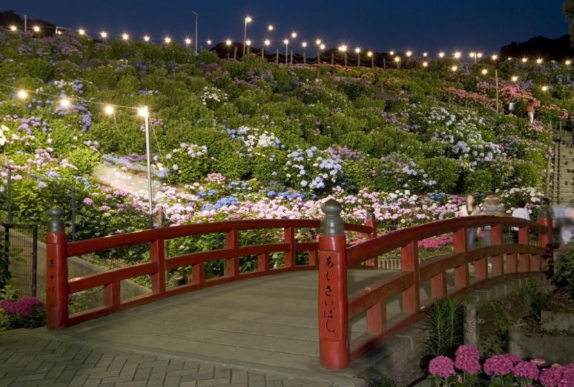 形原溫泉紫陽花節