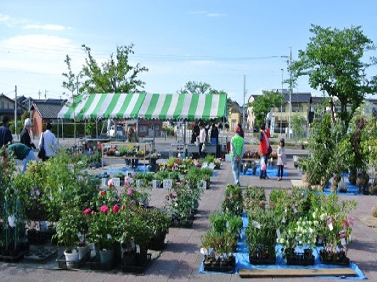 かりやおさんぽガーデン