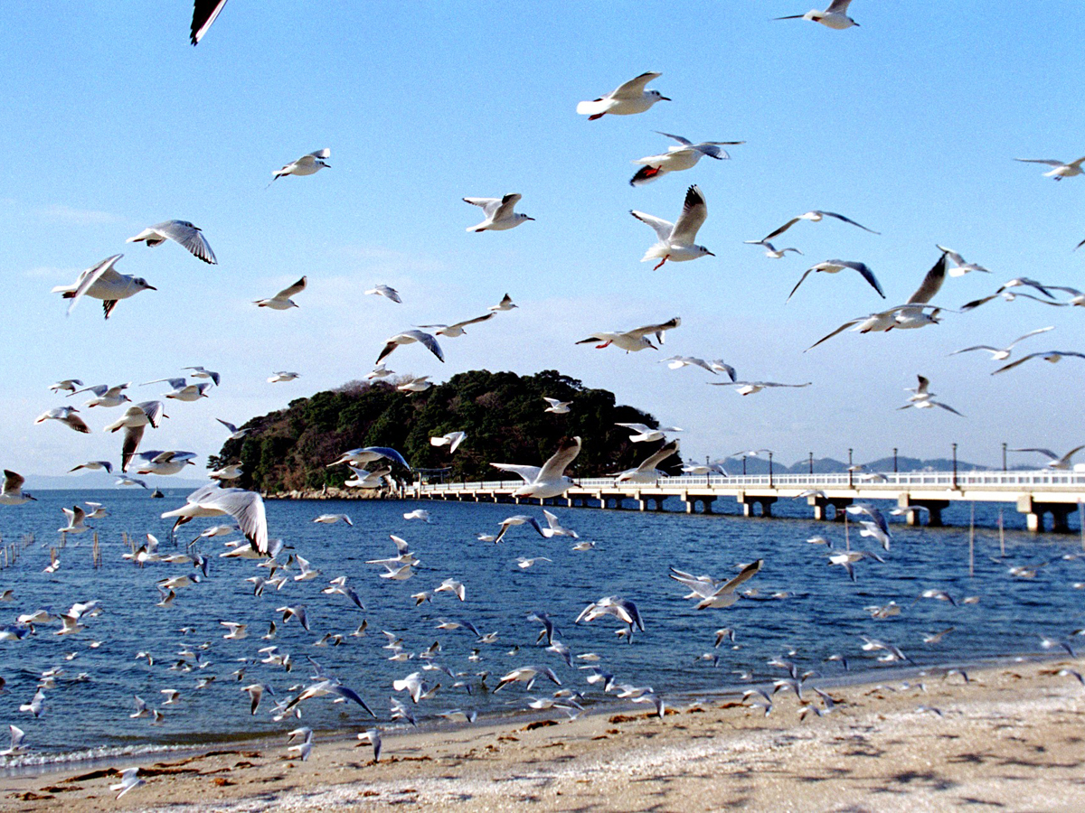 蒲郡観光交流おもてなしコンシェルジュ検定＆蒲郡観光キッズコンシェルジュ検定